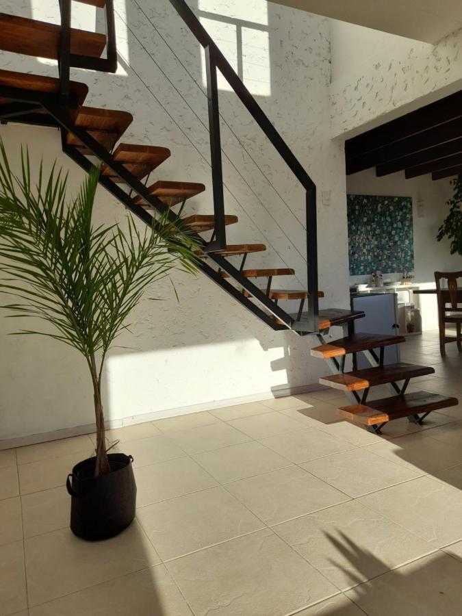 Casa Luminosa Con Parque Y Vista Espectacular Appartement El Calafate Buitenkant foto